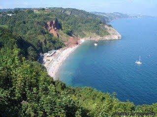 Aveland House Babbacombe Hotel Torquay Ngoại thất bức ảnh